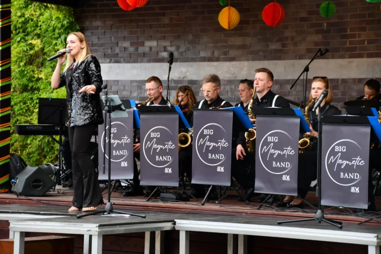 Big Magnetic Band